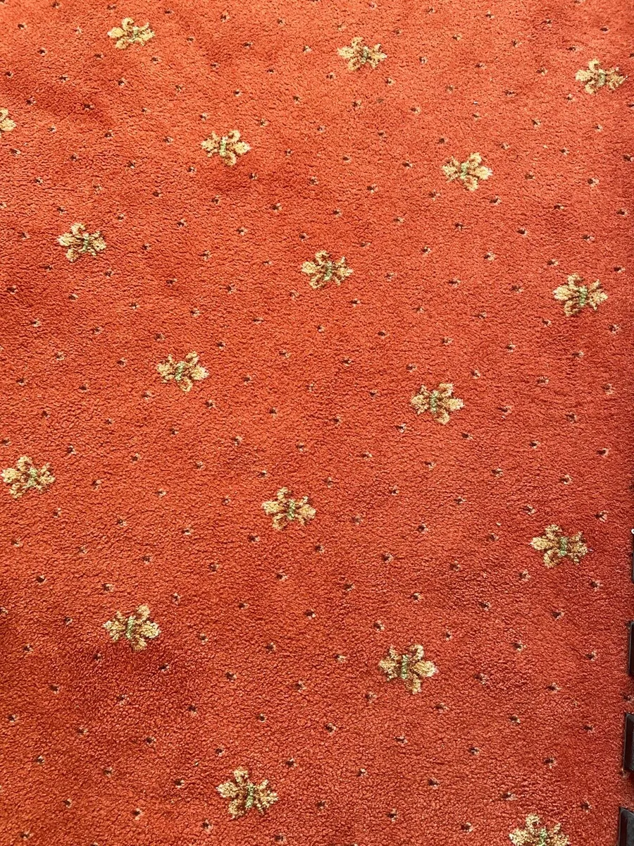 Living room carpet - Image 1