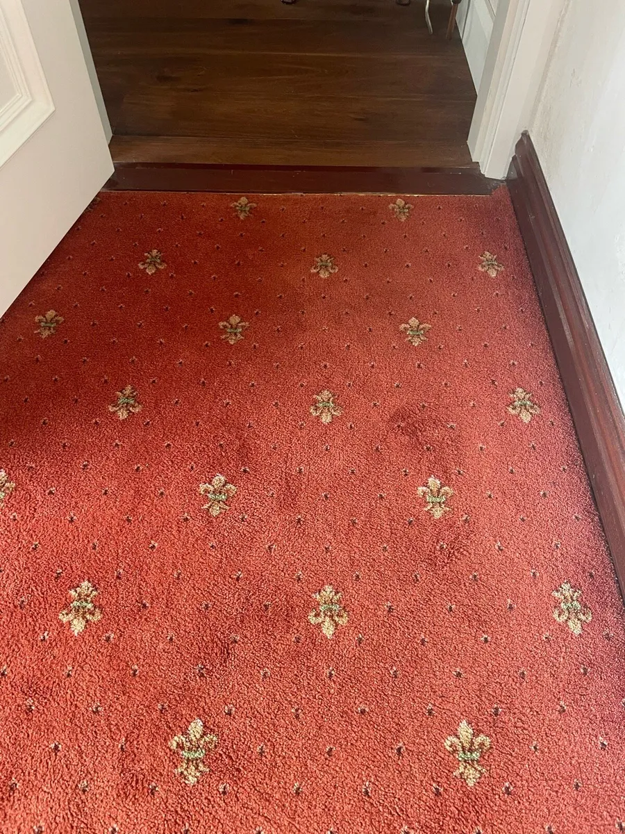 Living room carpet - Image 2