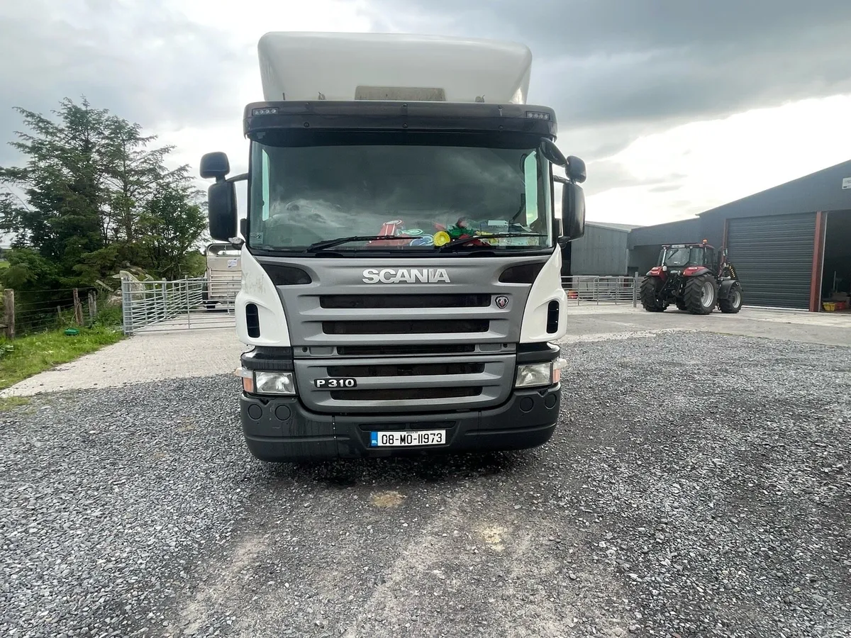 Scania p310 horse truck - Image 1