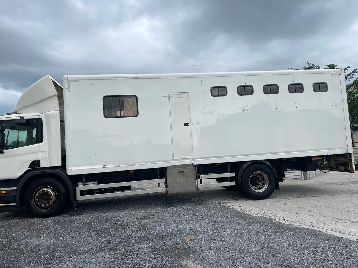 Scania p310 horse truck - Image 2