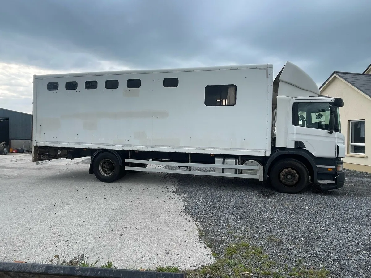 Scania p310 horse truck - Image 3
