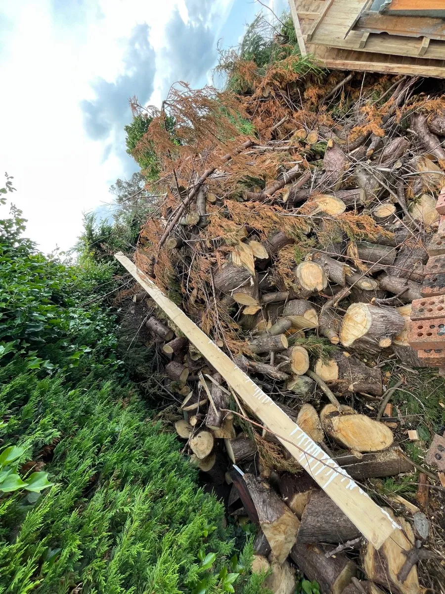 Large amount wood for sale €500 everything - Image 1