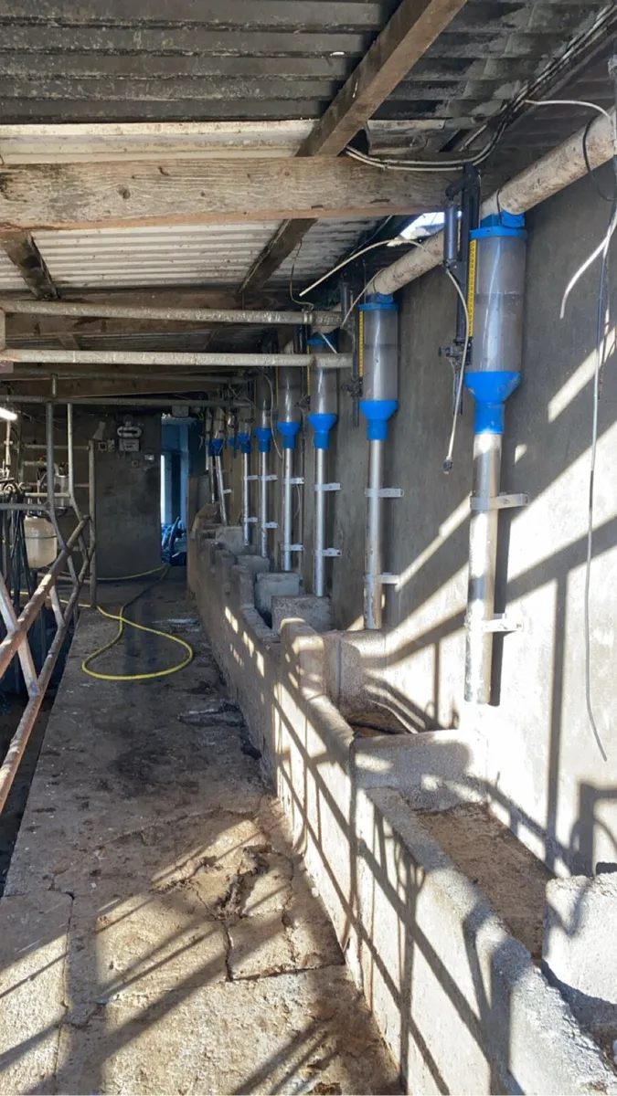Parlour feeders