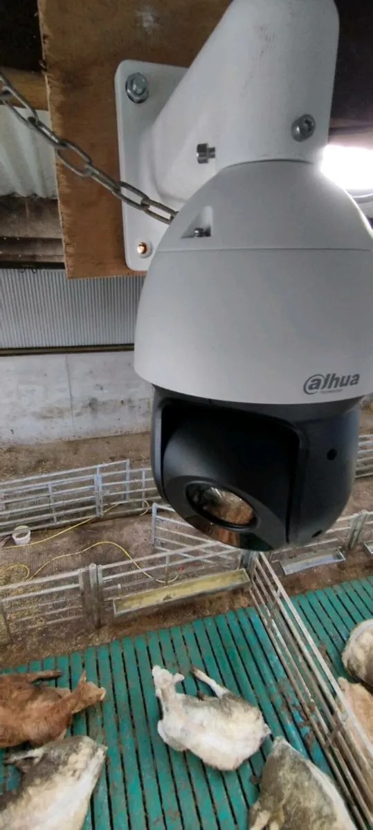 Calving cameras - Image 1