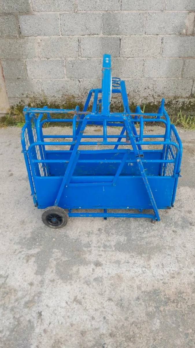 Lamb weighing scales - Image 4