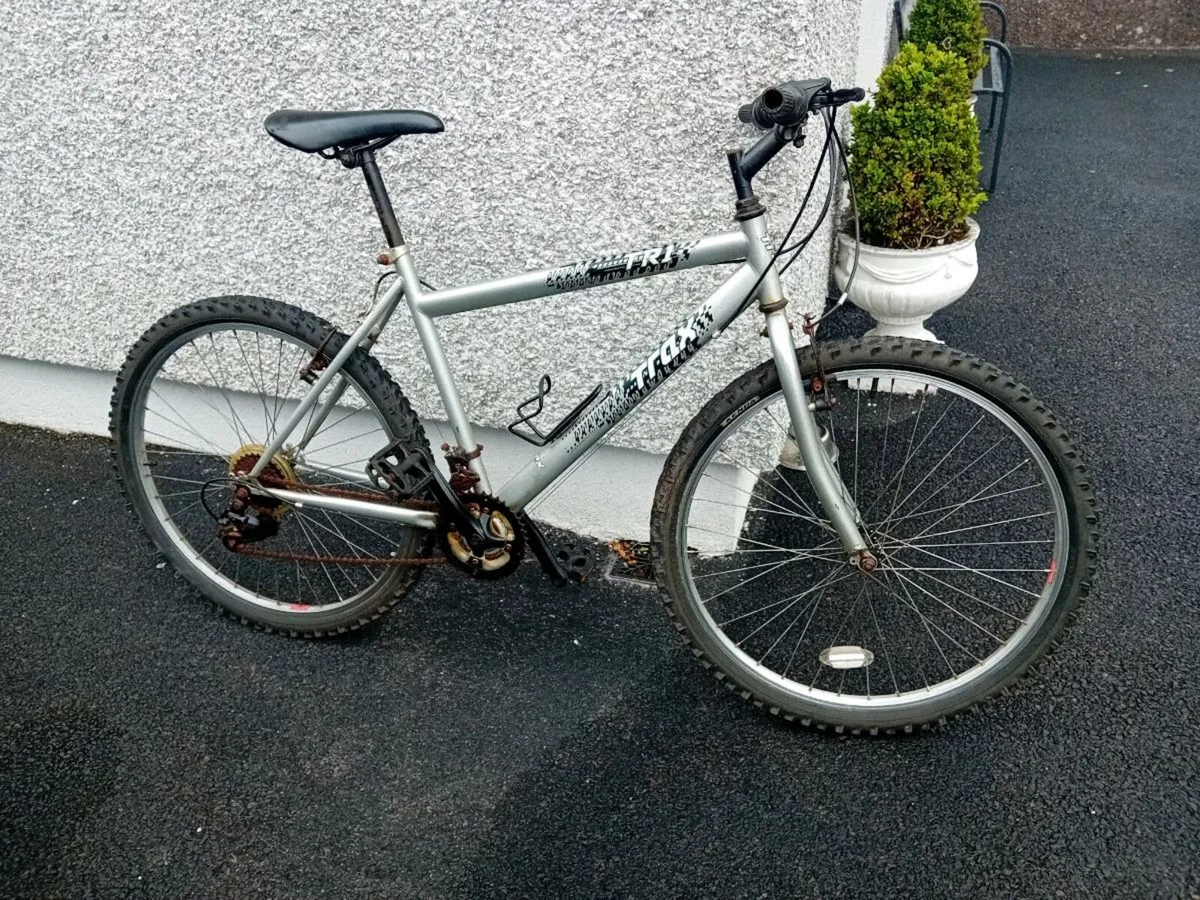 Adult  bike - Image 1