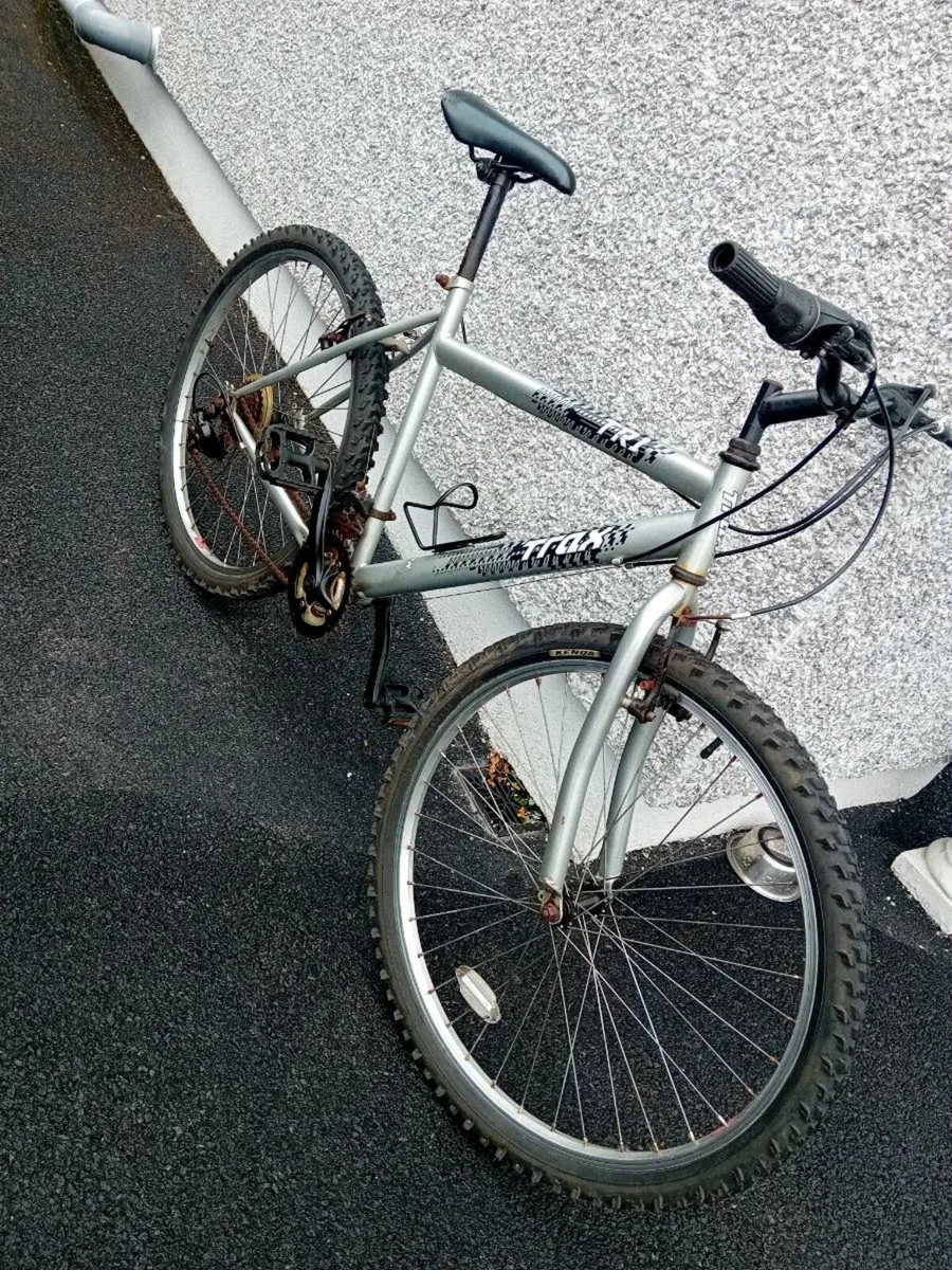 Adult  bike - Image 2
