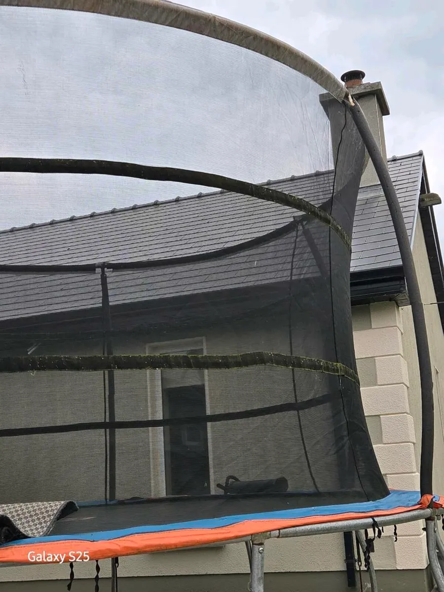Trampoline - Image 2