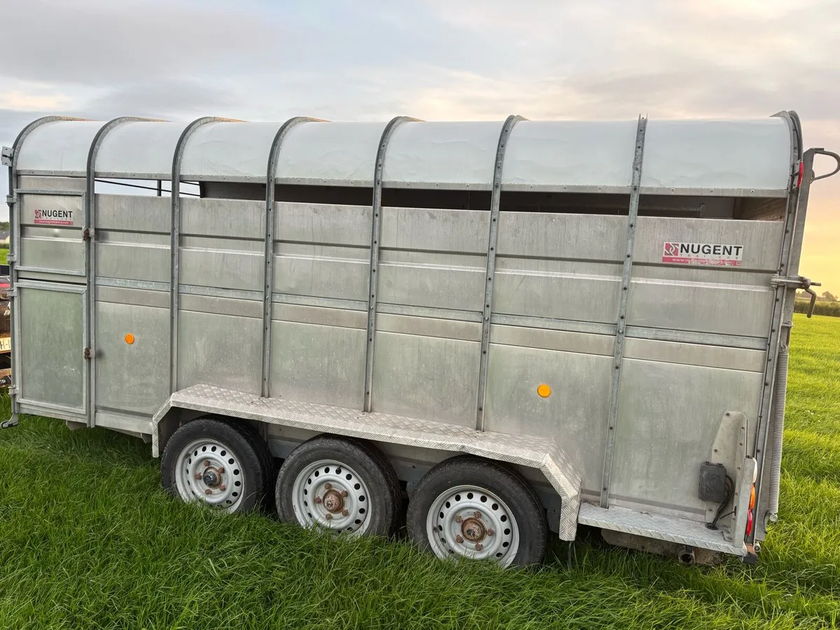 Nugent Cattle Trailer - Image 2
