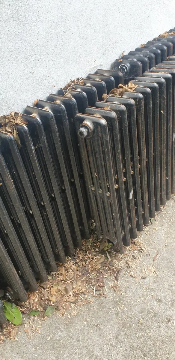 Cast Iron Radiators - Image 1