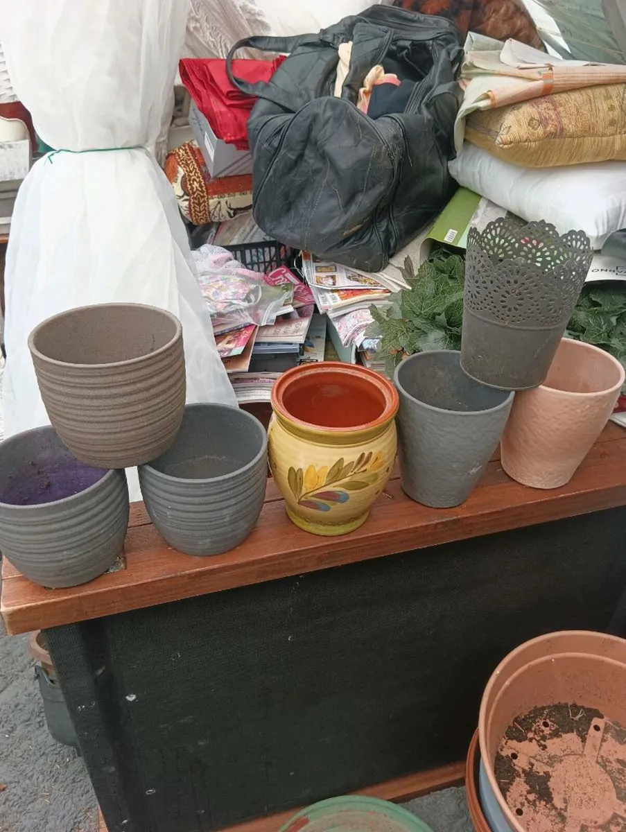 Set plants pots,10 Euro for all - Image 1