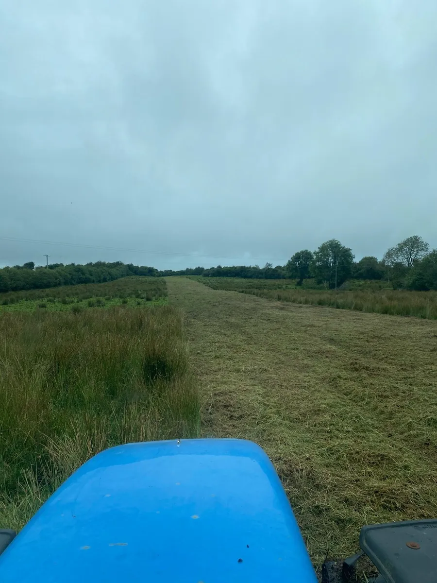 Mulching - Image 1