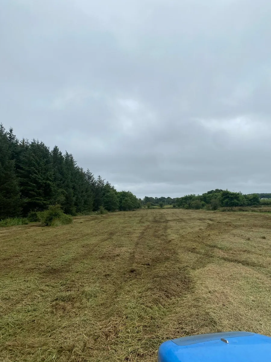 Mulching - Image 2