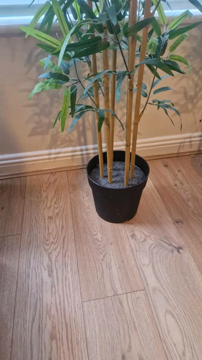 Ikea artificial bamboo tree - Image 3