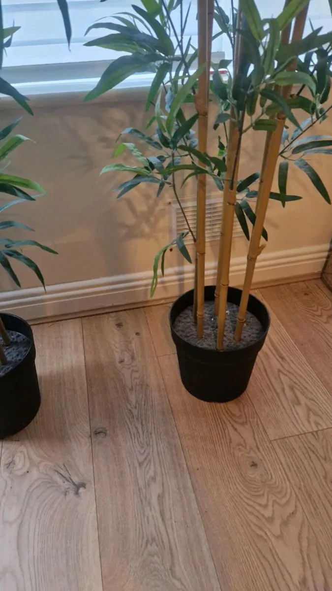 Ikea artificial bamboo tree - Image 4