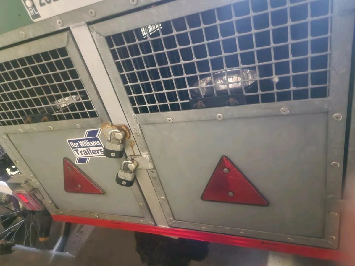 Ifor Williams dog trailer - Image 2