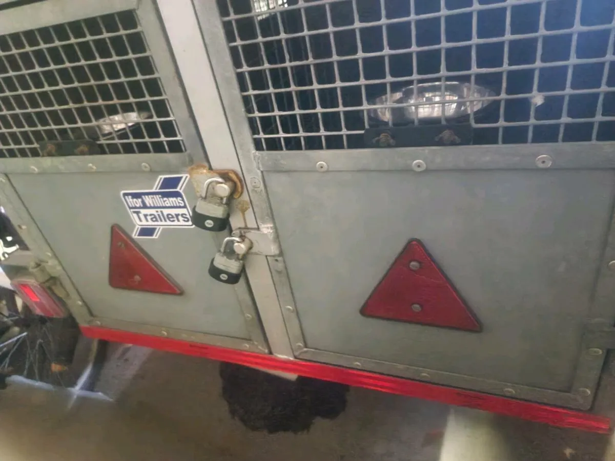 Ifor Williams dog trailer - Image 3