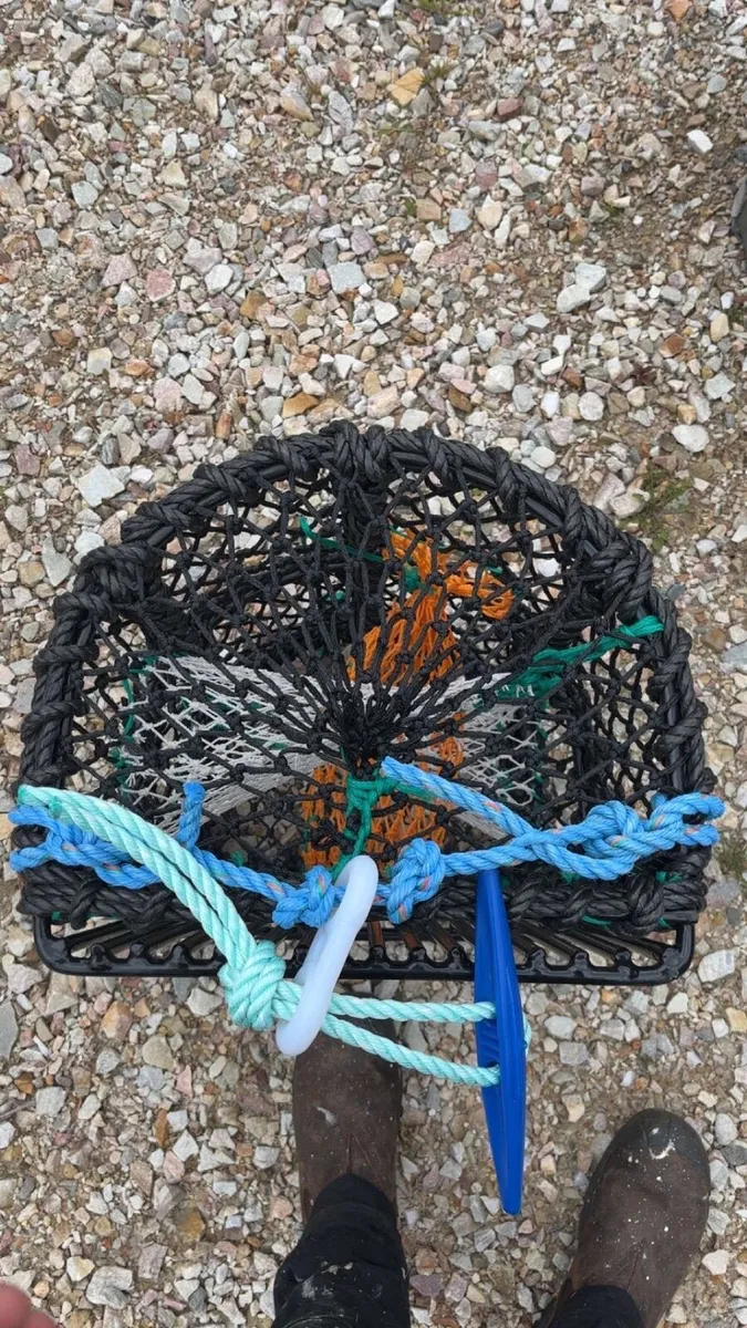 Lobster pots - Image 2