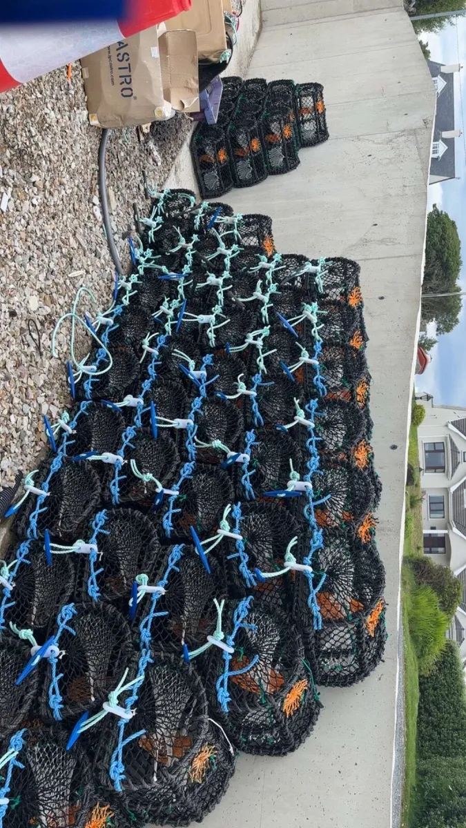 Lobster pots - Image 1