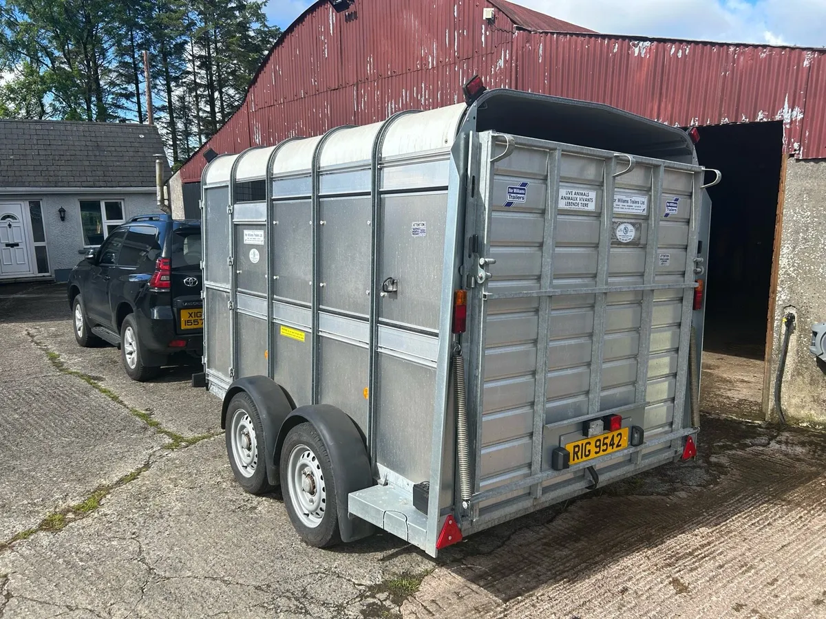 Ifor Williams Cattle Trailer - Image 2