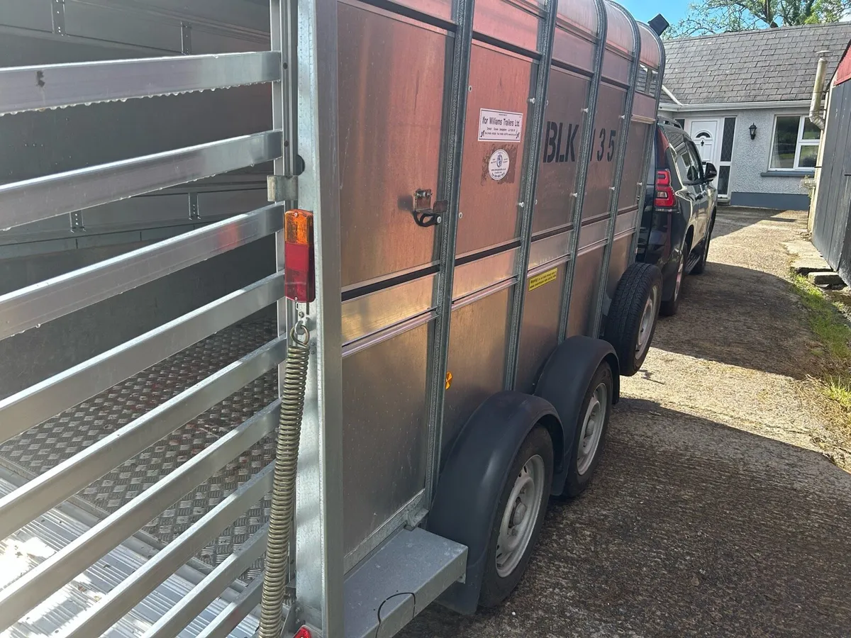 Ifor Williams Cattle Trailer - Image 4