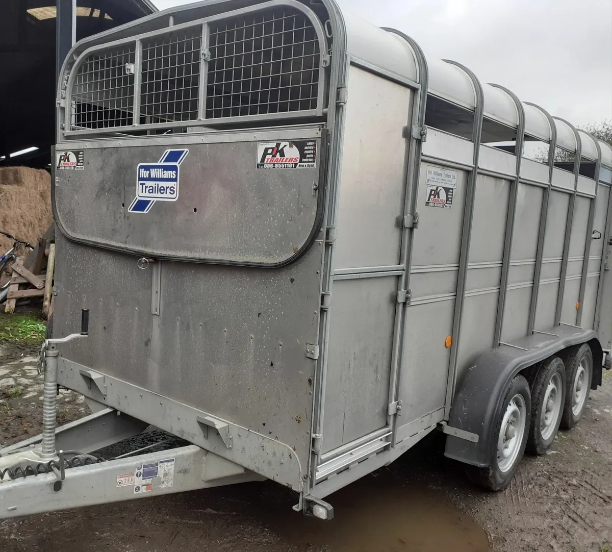 Ifor Williams Cattle Trailer - Image 2