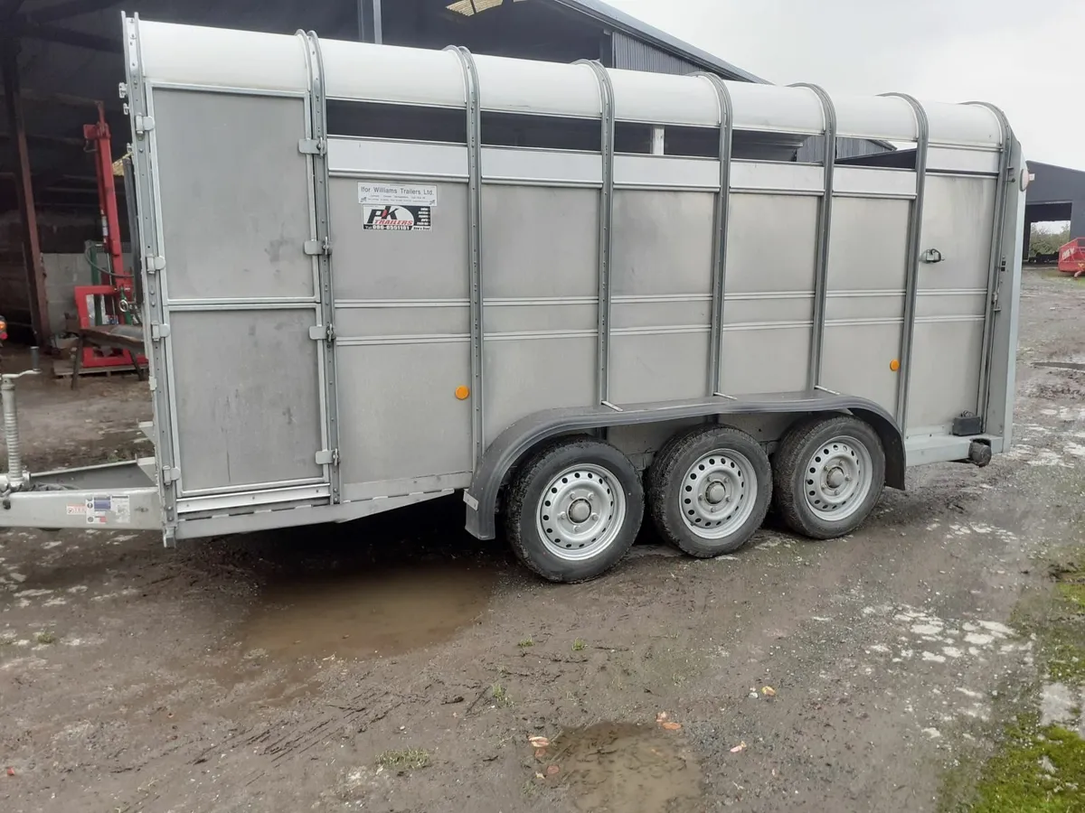 Ifor Williams Cattle Trailer - Image 3