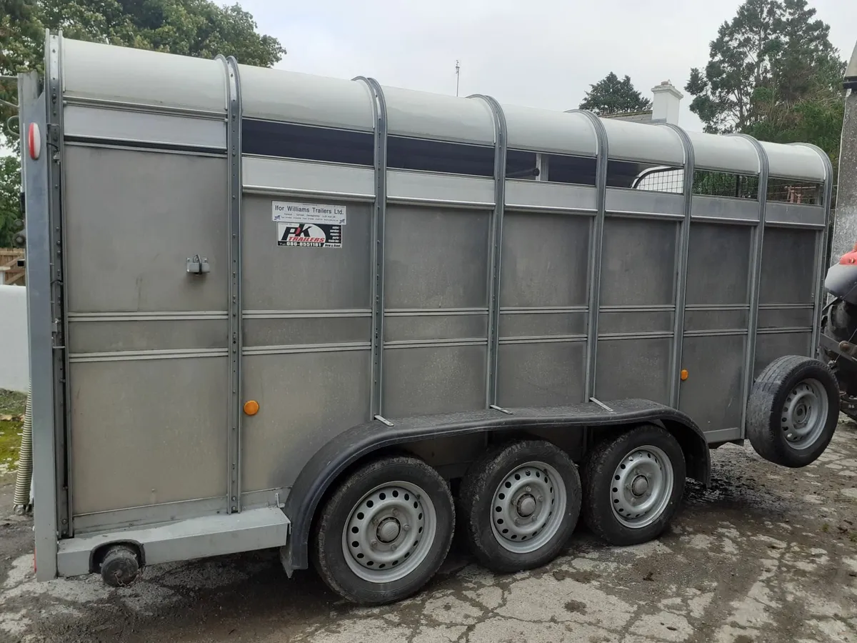 Ifor Williams Cattle Trailer - Image 4