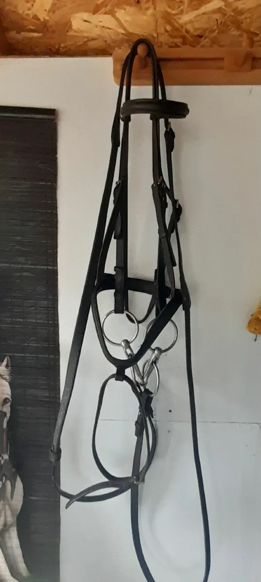 Stubben bridle - Image 2