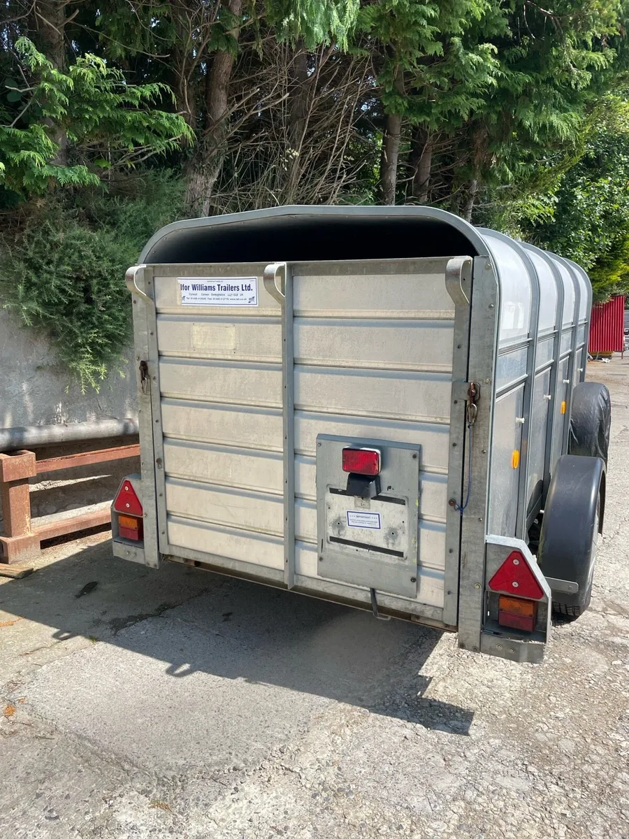 Ifor Williams sheep trailer - Image 2
