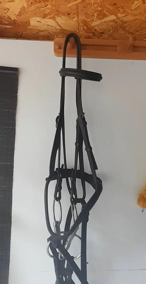 Stubben bridle - Image 3