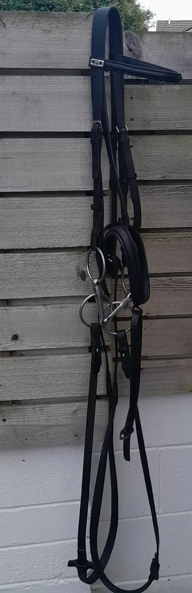 Stubben bridle - Image 4