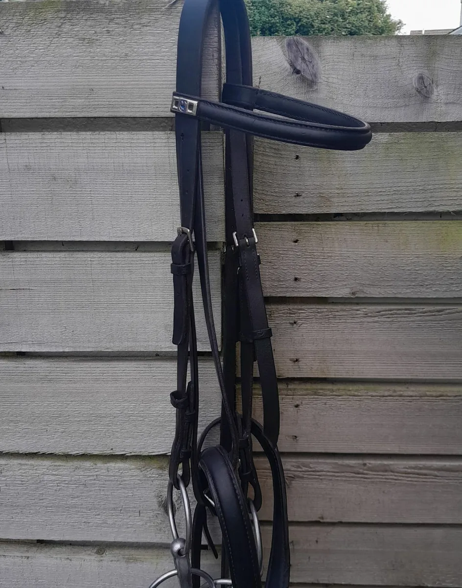 Stubben bridle - Image 1