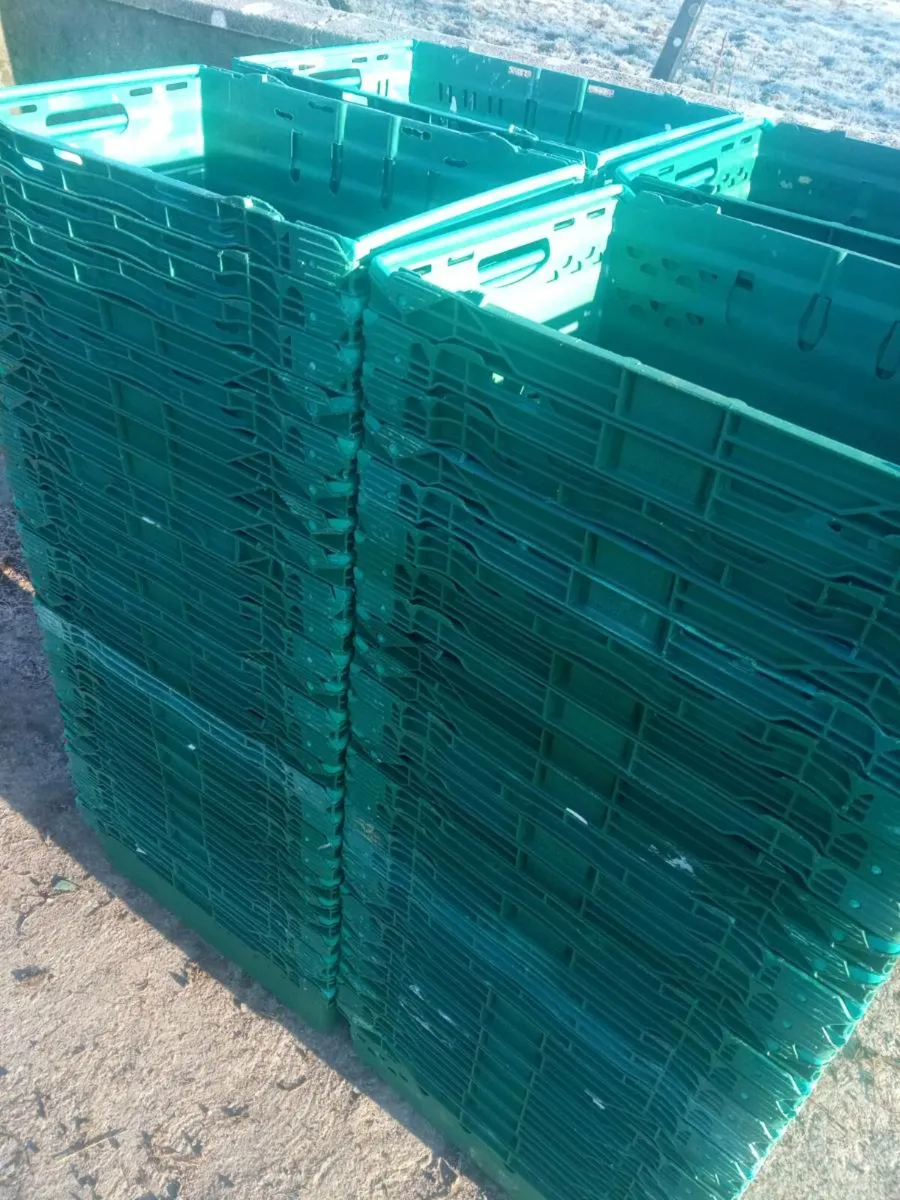 Plastic crates - Image 1