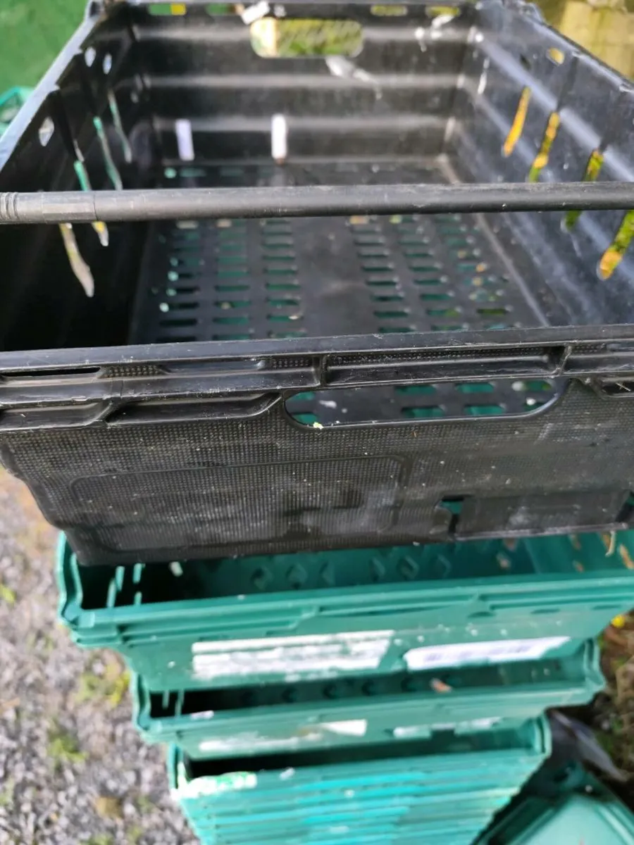 Plastic crates - Image 2