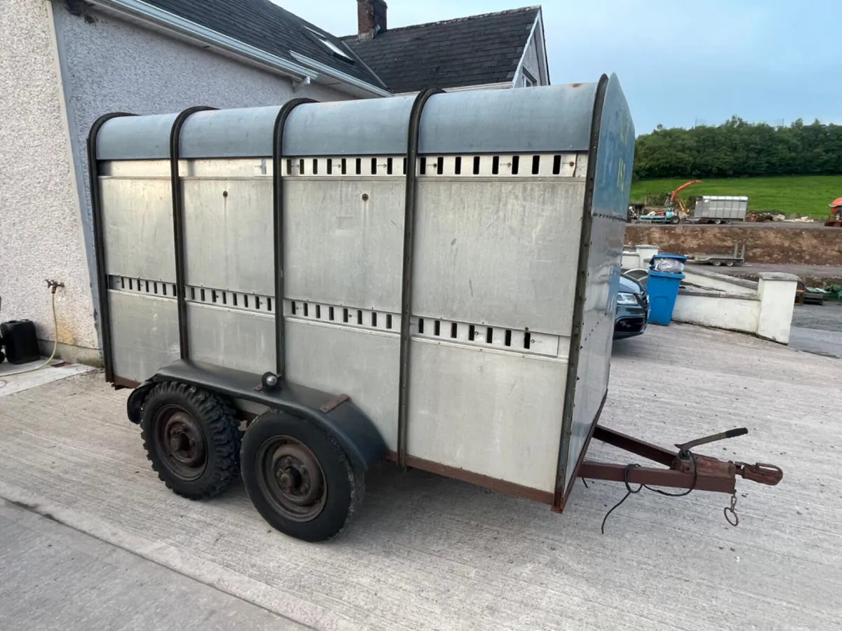 Ifor Williams 10ft x 5ft cattle trailer - Image 1