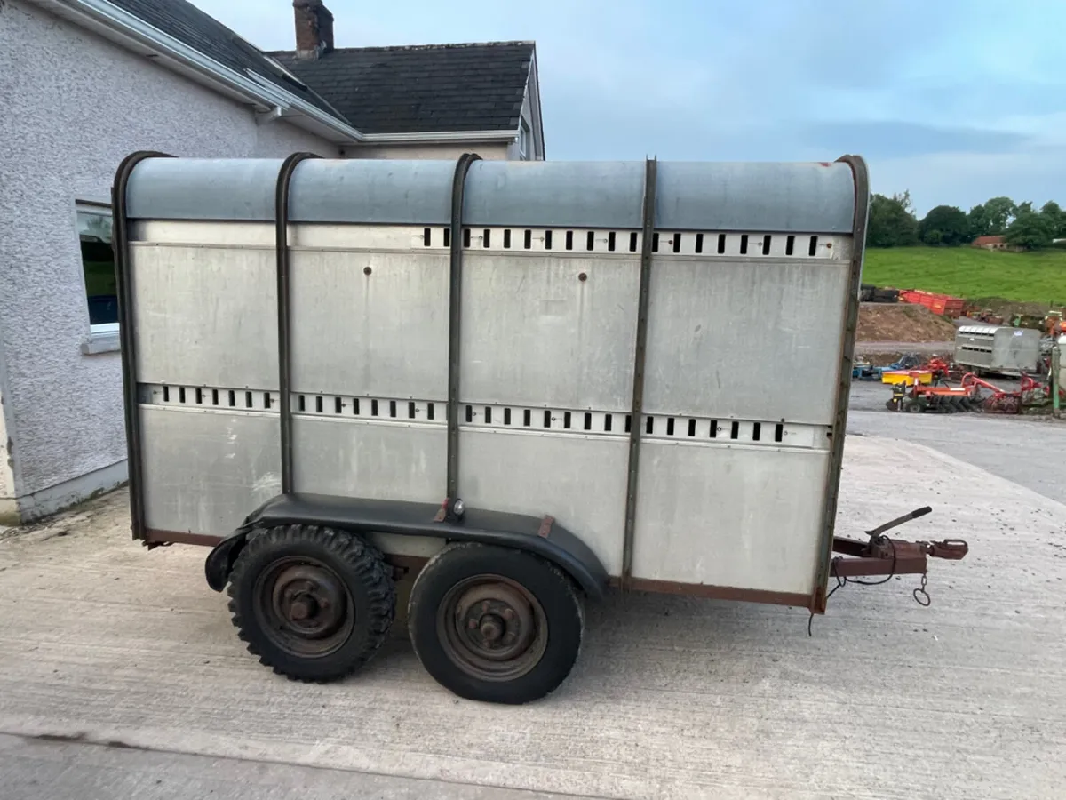 Ifor Williams 10ft x 5ft cattle trailer - Image 3