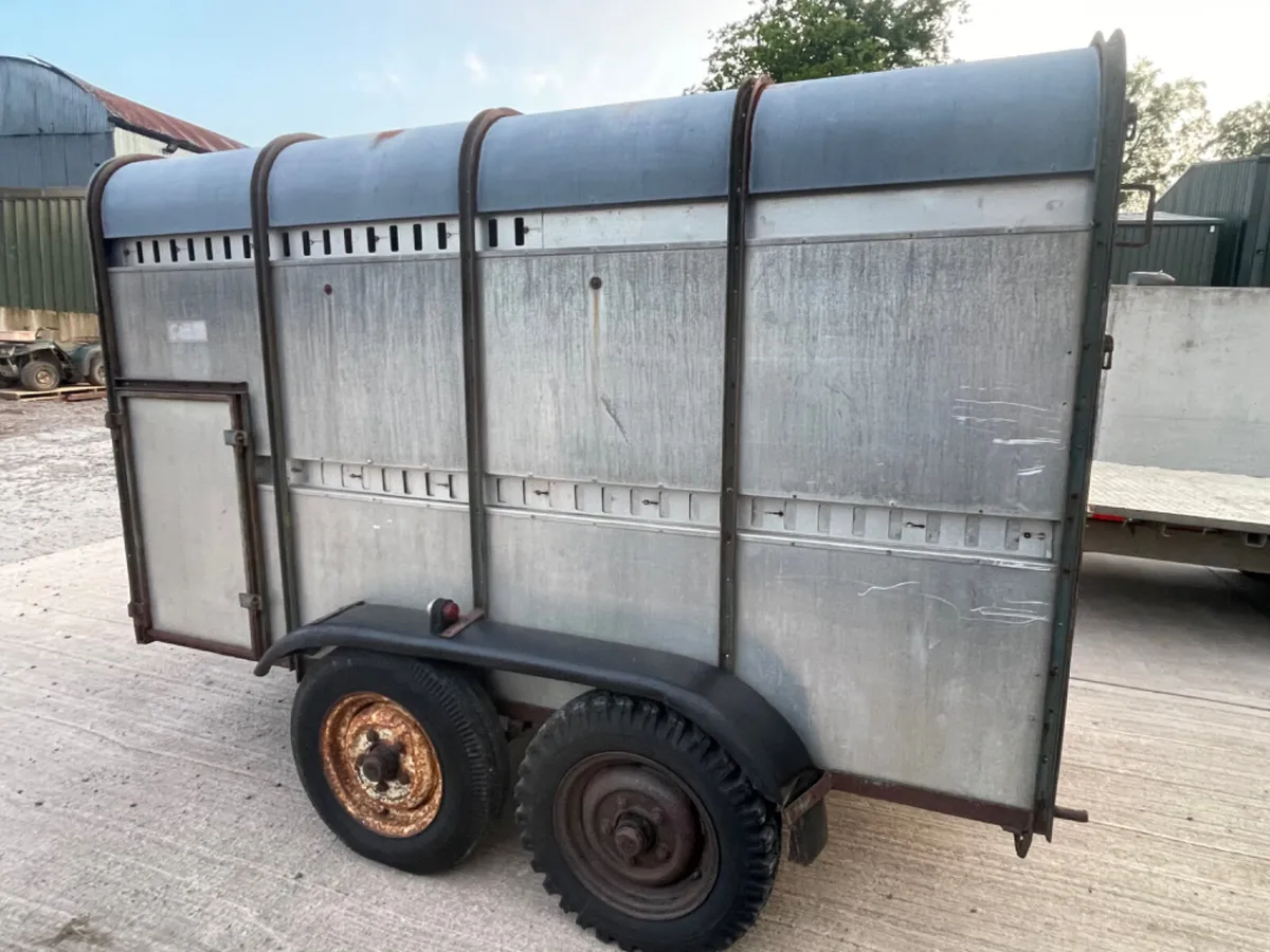 Ifor Williams 10ft x 5ft cattle trailer - Image 4
