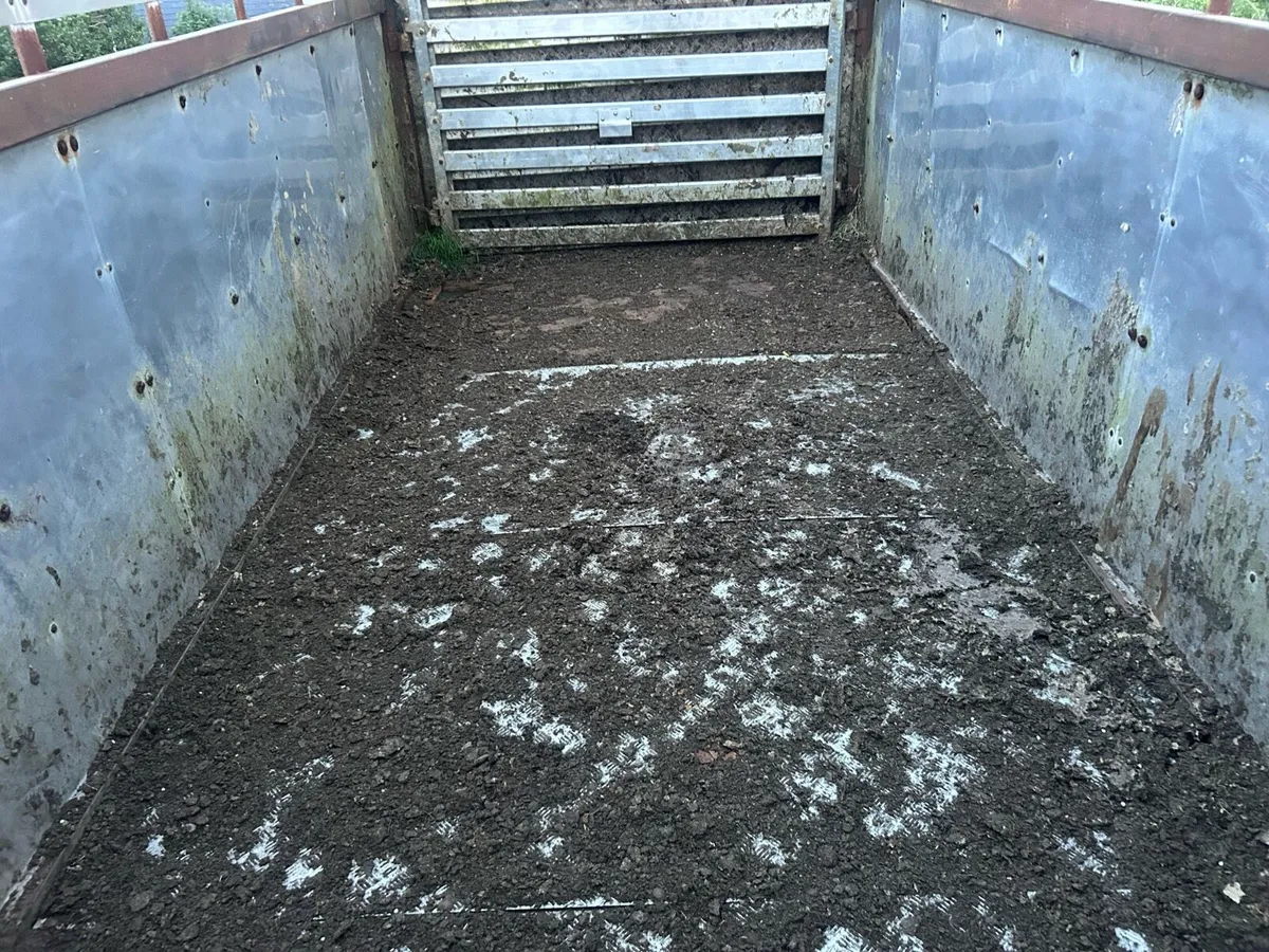 18ft cattle trailer - Image 2