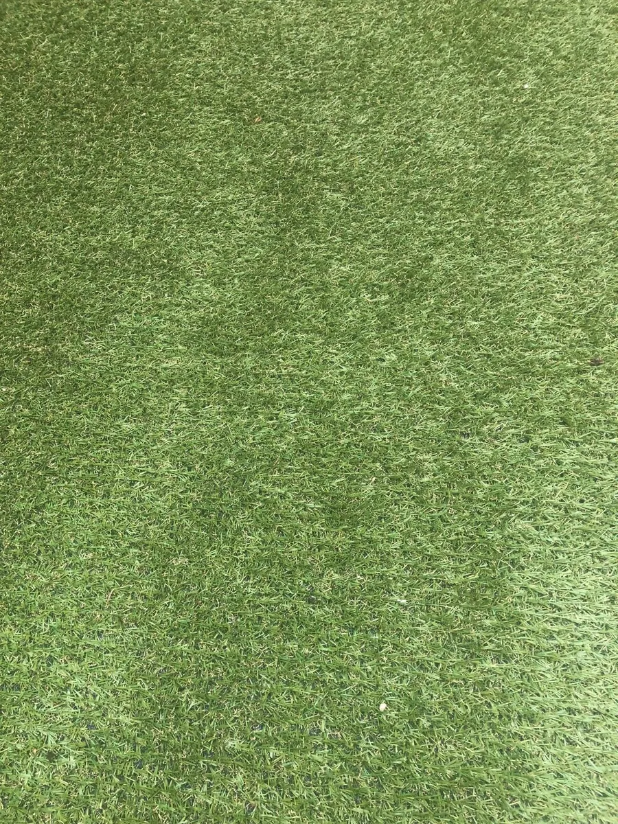 Artificial grass - Image 3