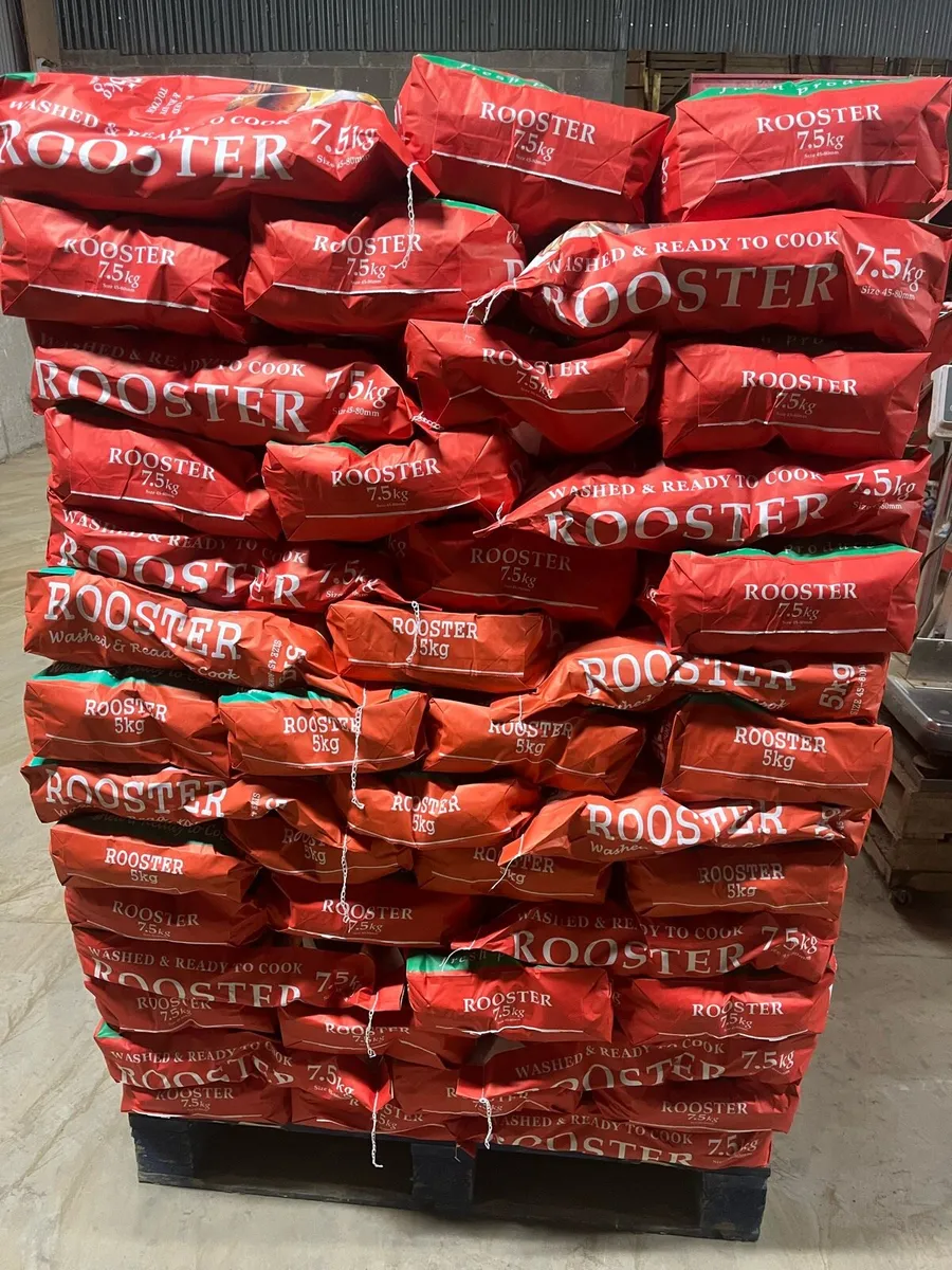 Potatoes - Image 2
