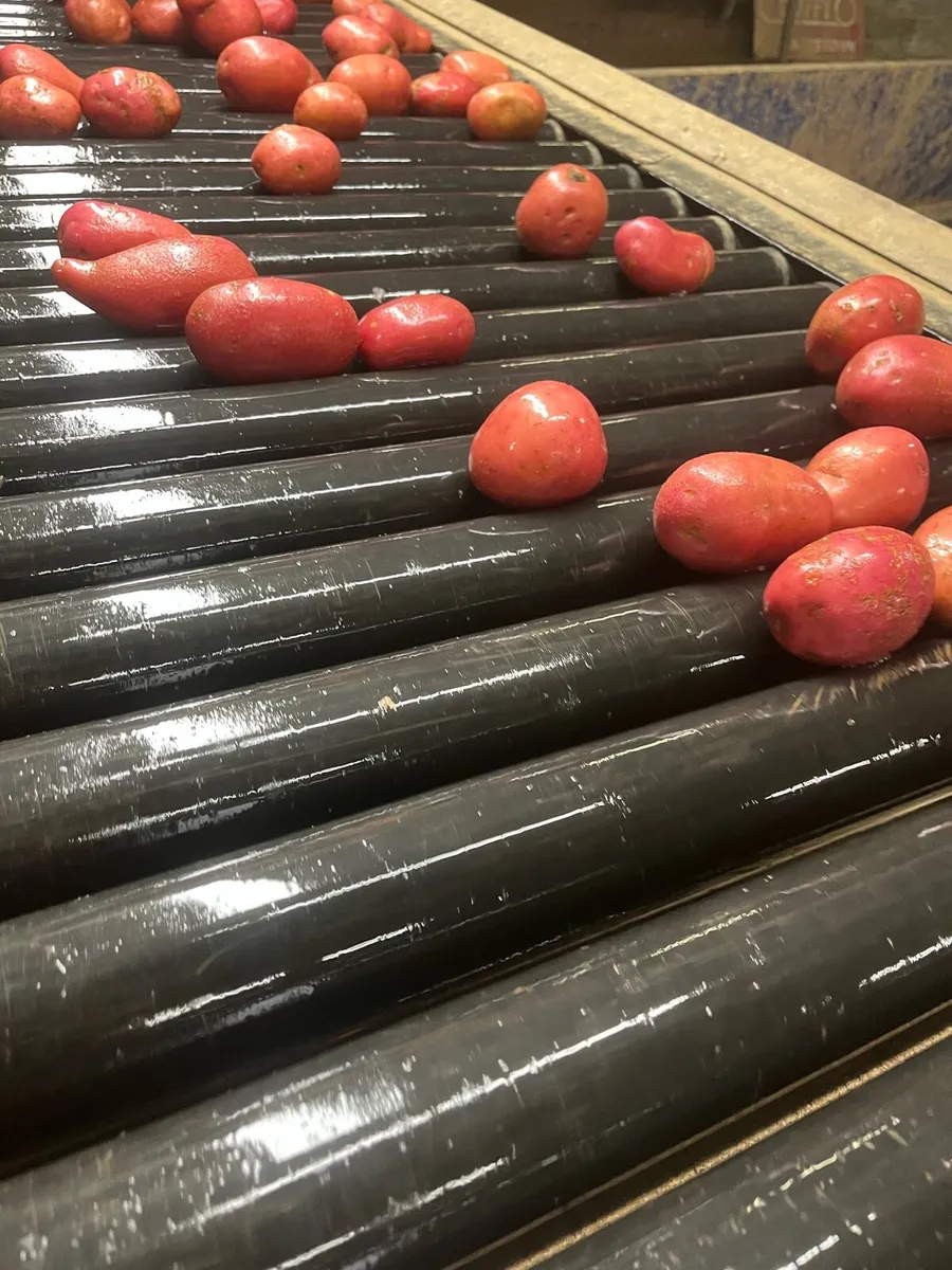 Potatoes - Image 3
