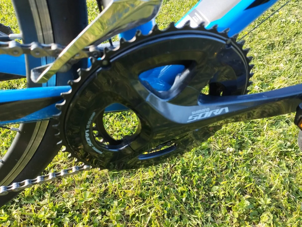 Giant Contend - Image 3