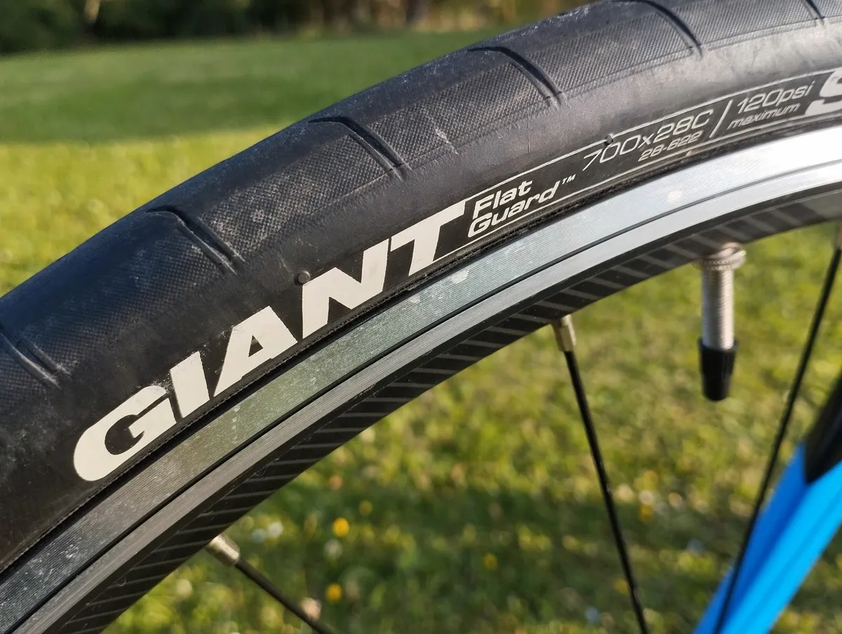 Giant Contend - Image 4