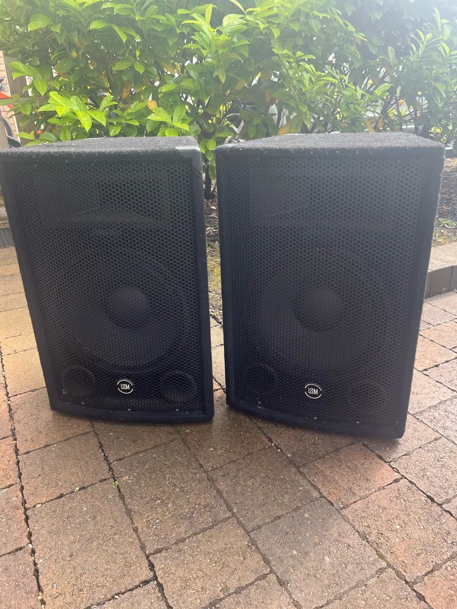 Leem passive speakers - Image 1