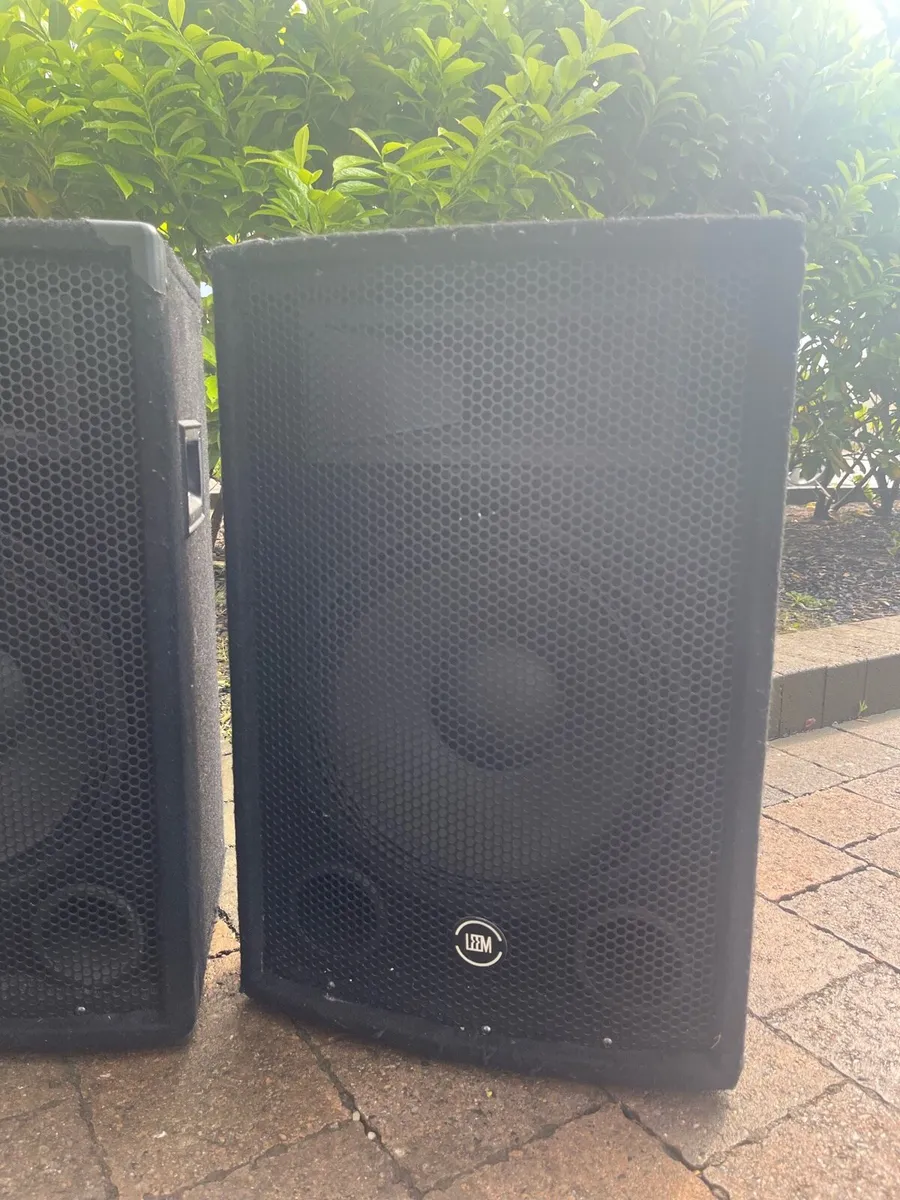 Leem passive speakers - Image 2
