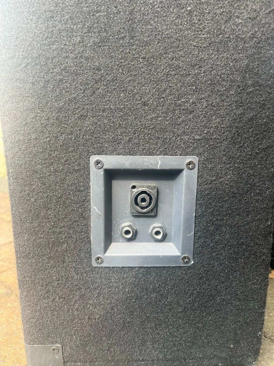 Leem passive speakers - Image 3
