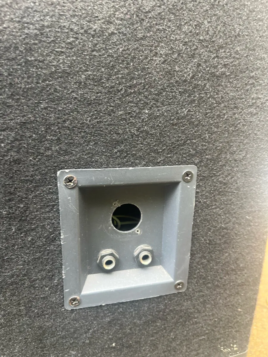 Leem passive speakers - Image 4