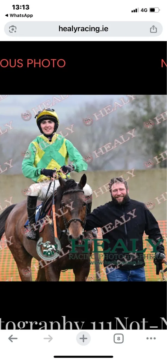 Race horse training - Image 1
