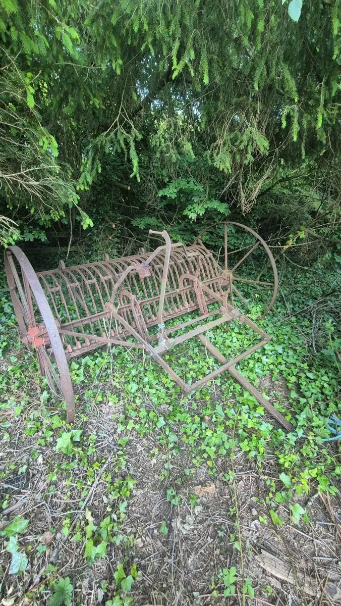 Vintage Hay Rake - Image 3